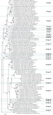 Establishment of Genome Based Criteria for Classification of the Family Desulfovibrionaceae and Proposal of Two Novel Genera, Alkalidesulfovibrio gen. nov. and Salidesulfovibrio gen. nov.